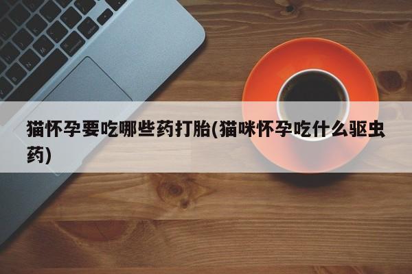 打胎药微信购买官方正品猫怀孕要吃哪些药打胎(猫咪怀孕吃什么驱虫药)